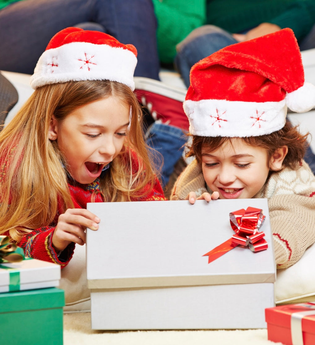 Holiday Donation - Family Gift Giving